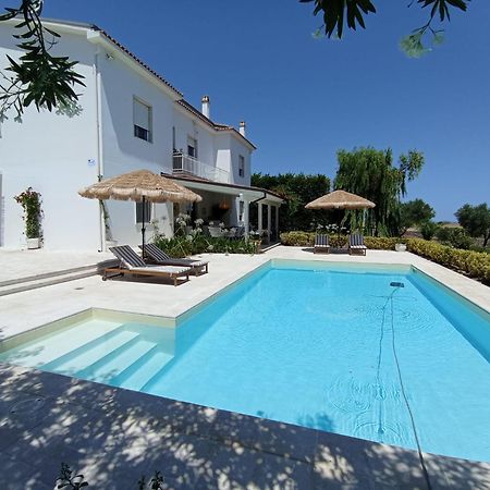 Tenuta Viale Degli Ulivi San Martino in Pensilis Εξωτερικό φωτογραφία
