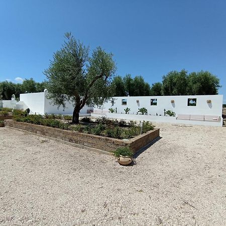 Tenuta Viale Degli Ulivi San Martino in Pensilis Εξωτερικό φωτογραφία