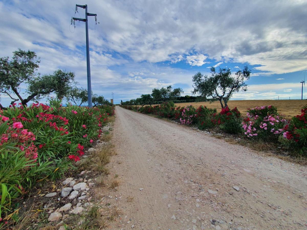 Tenuta Viale Degli Ulivi San Martino in Pensilis Εξωτερικό φωτογραφία