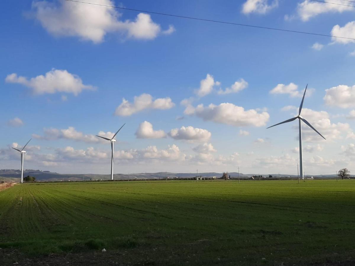 Tenuta Viale Degli Ulivi San Martino in Pensilis Εξωτερικό φωτογραφία