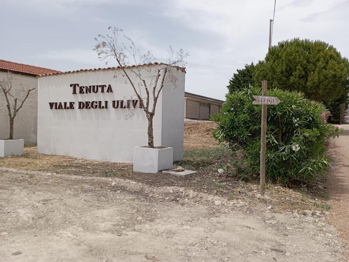 Tenuta Viale Degli Ulivi San Martino in Pensilis Εξωτερικό φωτογραφία