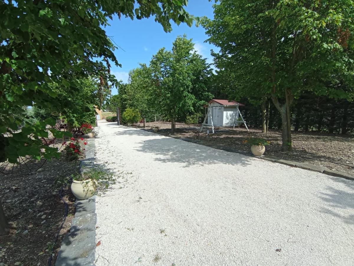 Tenuta Viale Degli Ulivi San Martino in Pensilis Εξωτερικό φωτογραφία
