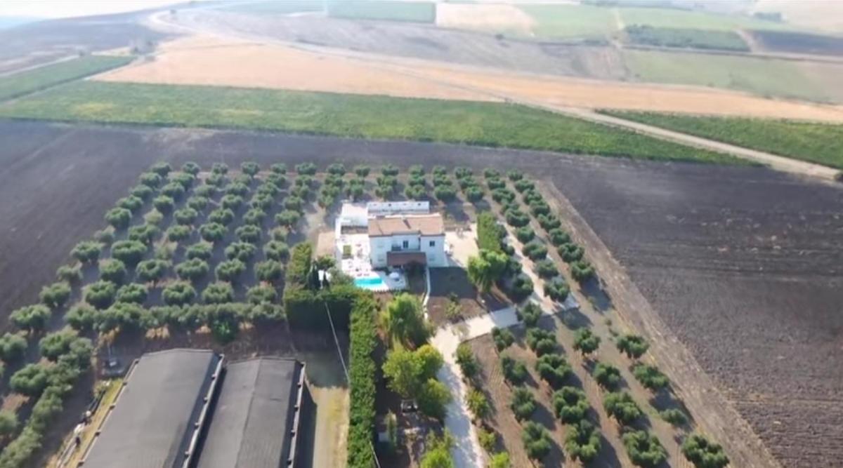 Tenuta Viale Degli Ulivi San Martino in Pensilis Εξωτερικό φωτογραφία