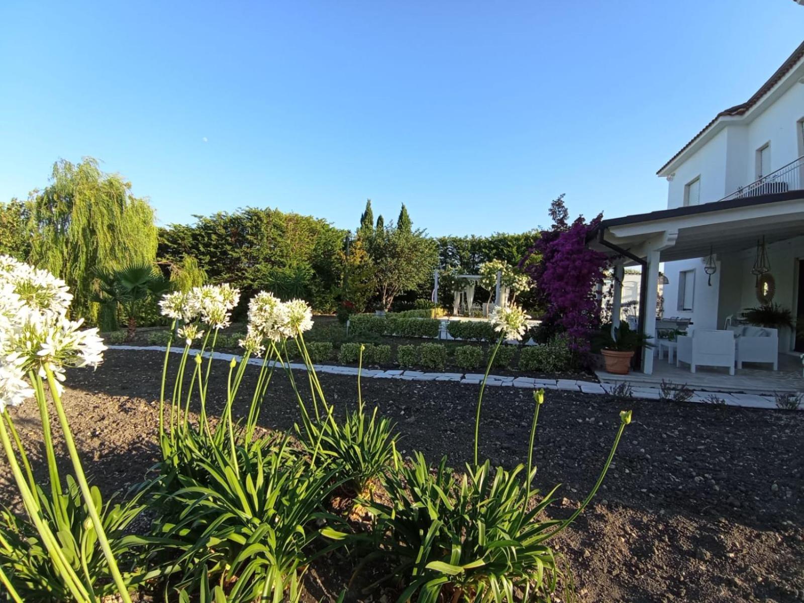 Tenuta Viale Degli Ulivi San Martino in Pensilis Εξωτερικό φωτογραφία