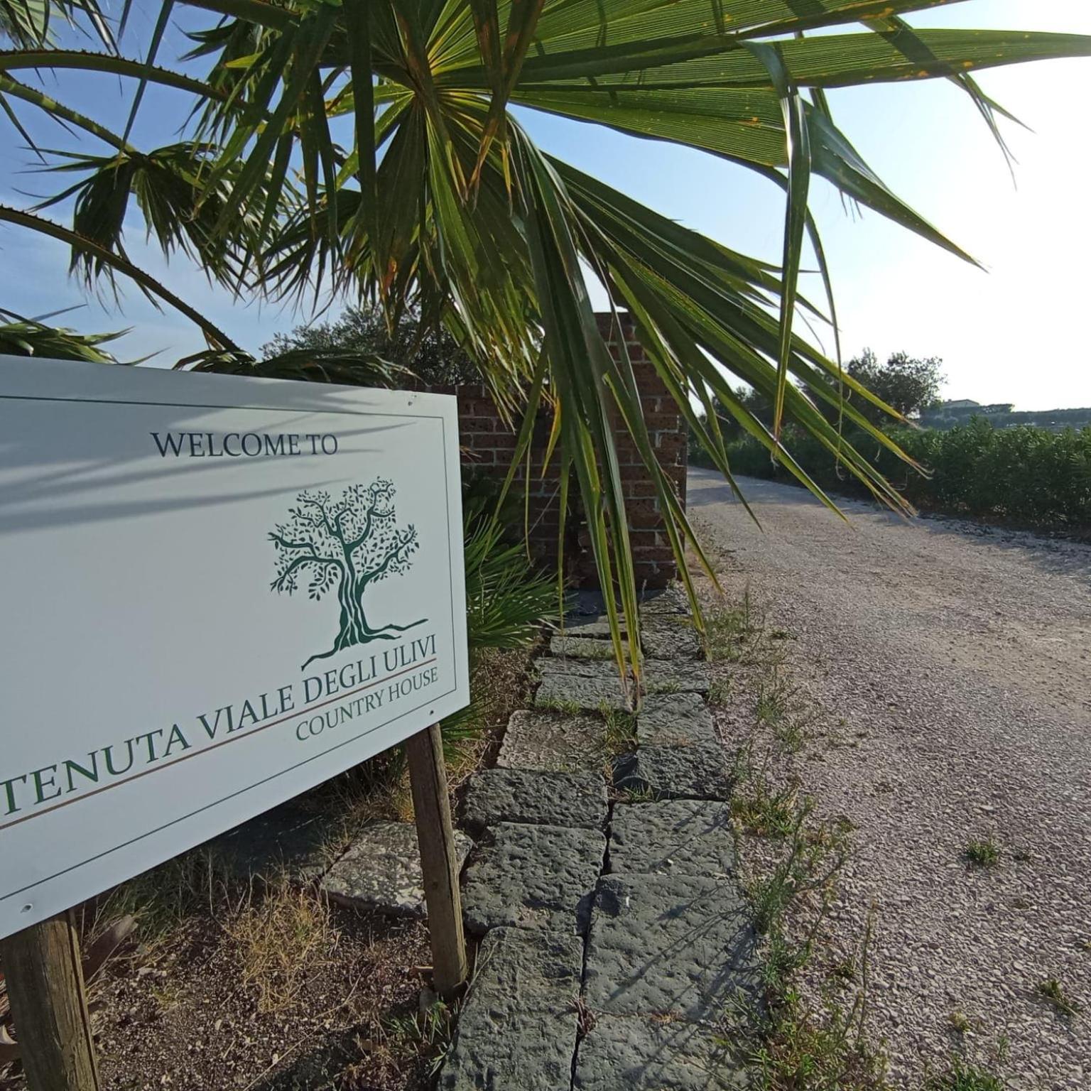 Tenuta Viale Degli Ulivi San Martino in Pensilis Εξωτερικό φωτογραφία