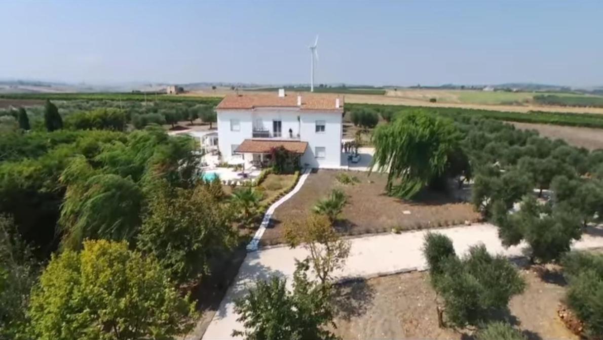 Tenuta Viale Degli Ulivi San Martino in Pensilis Εξωτερικό φωτογραφία