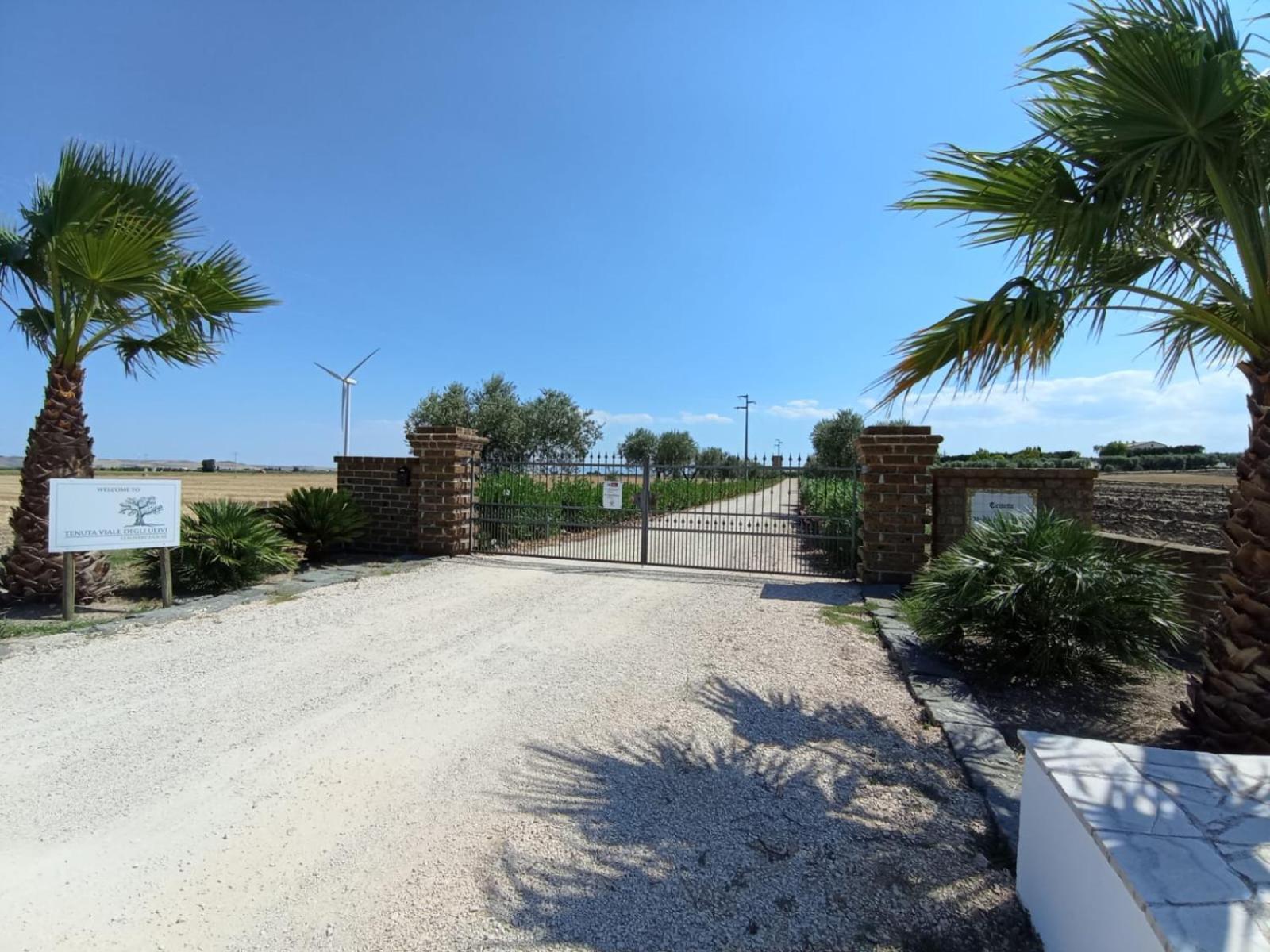 Tenuta Viale Degli Ulivi San Martino in Pensilis Εξωτερικό φωτογραφία
