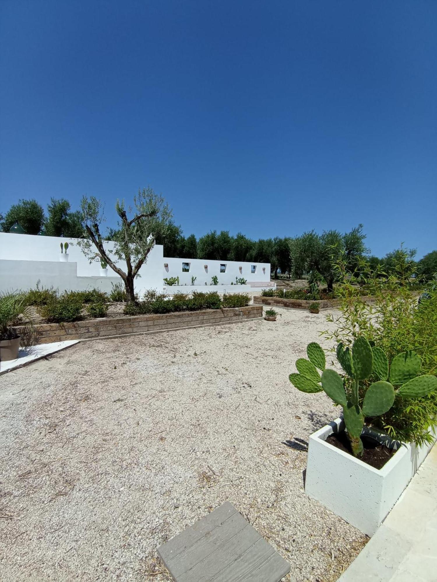 Tenuta Viale Degli Ulivi San Martino in Pensilis Εξωτερικό φωτογραφία