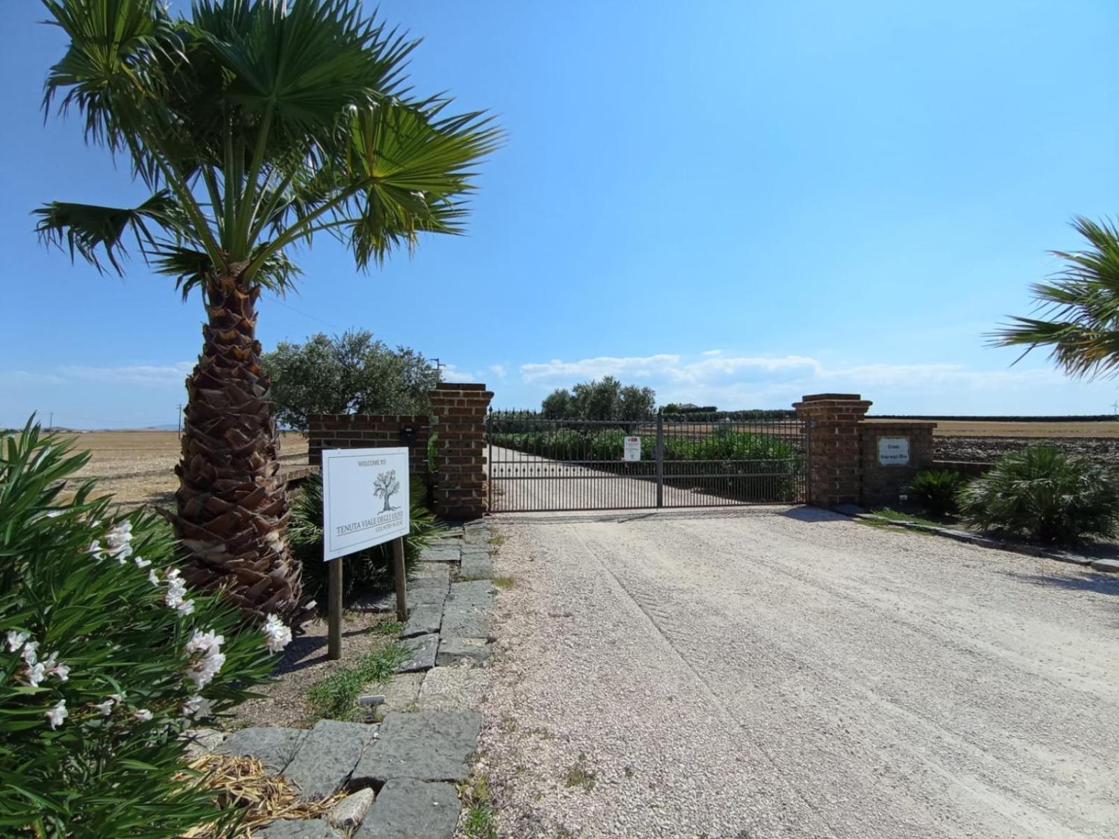 Tenuta Viale Degli Ulivi San Martino in Pensilis Εξωτερικό φωτογραφία